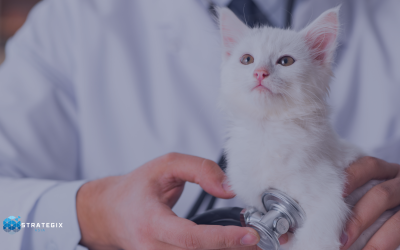 Reputable Veterinary Clinic